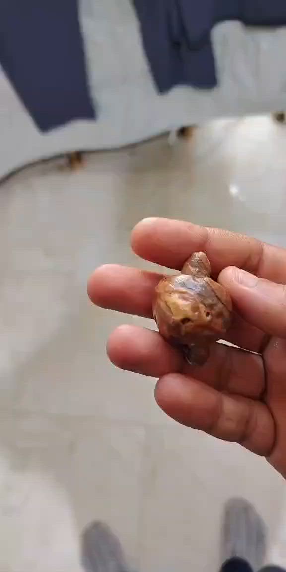 ملاگط حدود السعودية مايحتاج شرح
مزاد ابيعة هذا الحجر اعلى سعر ابيع


**إذا كنت صاحب هذا الإعلان وتريد حذفه لأي سبب، رجاءا أرسل رسالة إلى الدعم الفني**