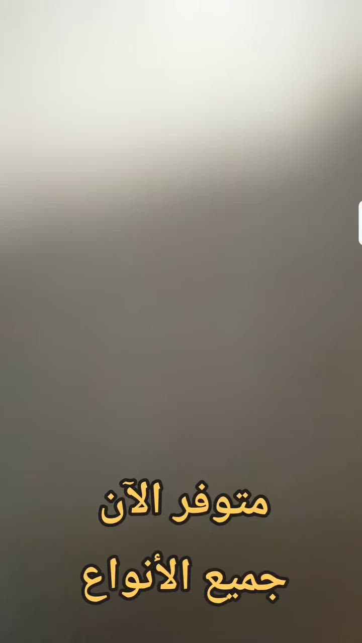 للاستفسار التواصل على الخاص


**إذا كنت صاحب هذا الإعلان وتريد حذفه لأي سبب، رجاءا أرسل رسالة إلى الدعم الفني**