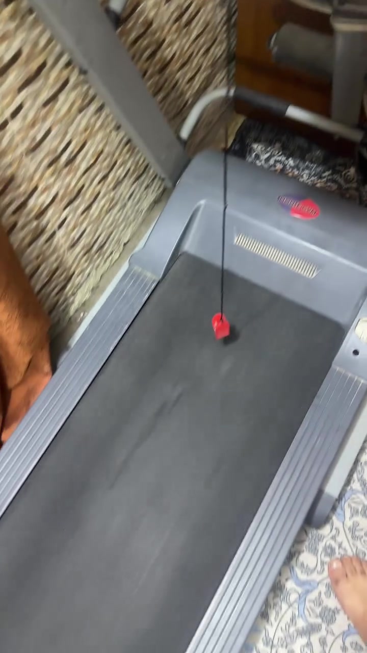 للبيع جهاز جري كهربائي HOUSE GYM + جهاز تنحيف رجاج
✅ جهاز الجري HOUSE GYM

* ماركة: HOUSE GYM

* شاشة LCD تعرض: السرعة، الوقت، المسافة، السعرات الحرارية.

* أزرار تحكم سريعة بالسرعة (3 - 6 - 9 - 8 - 10 - 12).

* أزرار زيادة وتقليل السرعة.

* برامج رياضية مدمجة.

* مفتاح أمان (Safety Key) للتوقف الفوري.

* مدخل MP3.

* مناسب للمشي والهرولة والجري داخل المنزل.

* الحالة: مستعمل ونظيف ويعمل بكفاءة.

✅ جهاز التنحيف الرجاج (Vibration Machine)

* يساعد على تنشيط العضلات وتحسين الدورة الدموية.

* مناسب للإحماء والاسترخاء بعد التمارين.

* مزود بحزام مساج للمساعدة على تدليك مناطق الجسم.

* سهل الاستخدام ومناسب للاستعمال المنزلي.

* الحالة: مستعمل ويعمل بشكل جيد.

ملاحظة : جهاز التنحيف الحزام بي قطع بسيط قابل للتبديل

📍الجهازان بحالة جيدة وجاهزان للاستخدام، والبيع بسبب عدم الاستخدام.

💰السعر : 350. وبي مجال قليل

📞 للاستفسار والمراسلة واتساب ***********

العنوان : بغداد - الشعب
