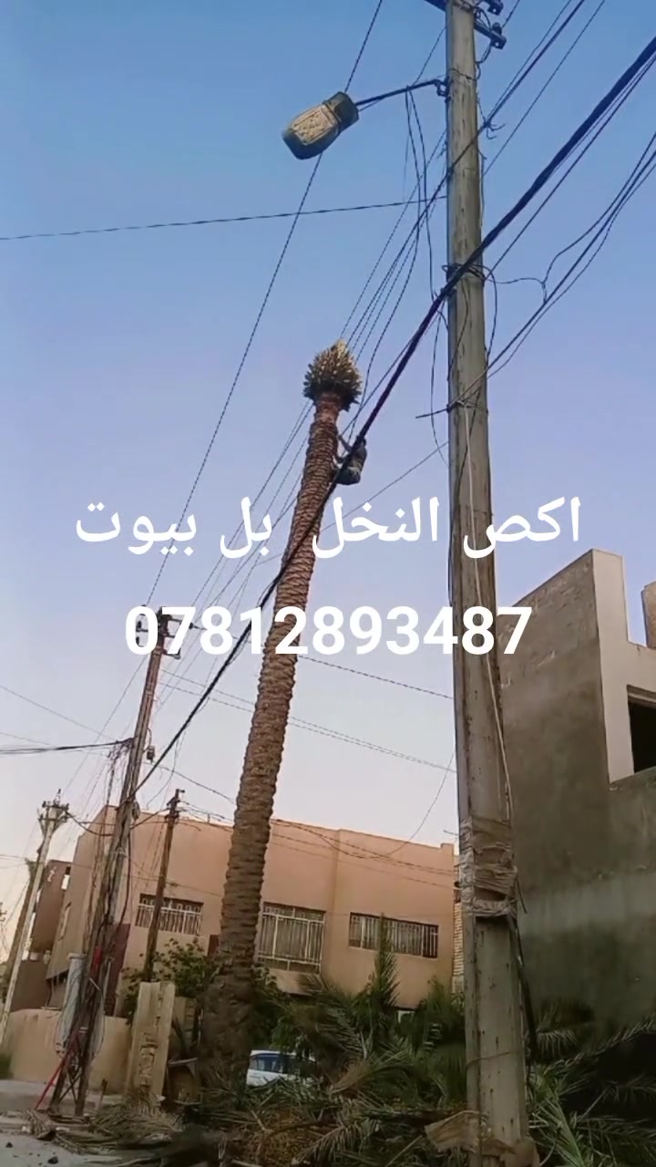 اخوان العند نخله يكصه يتصل عليه ويدلل اشتغل كل محافظات العراق اجي عل لوكيشن  ***********
