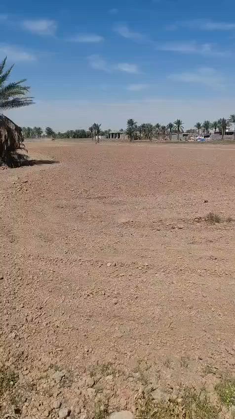 شمال بغداد ''التاجي''
ارض زراعيه المساحه 6دونم عقد 117 مستطيله واجهة 50 نزال 300 تبليط من امامها وخلفها متوفر ماء وكهرباء قرب مدارس  سيد الشهداء   التاجي قريه عواد الحسين  نهر صافي سعر الدونم 18 قابل للتفاوض
بيع من دونم الى 6 دونم للاستفسار
 ***********
***********
