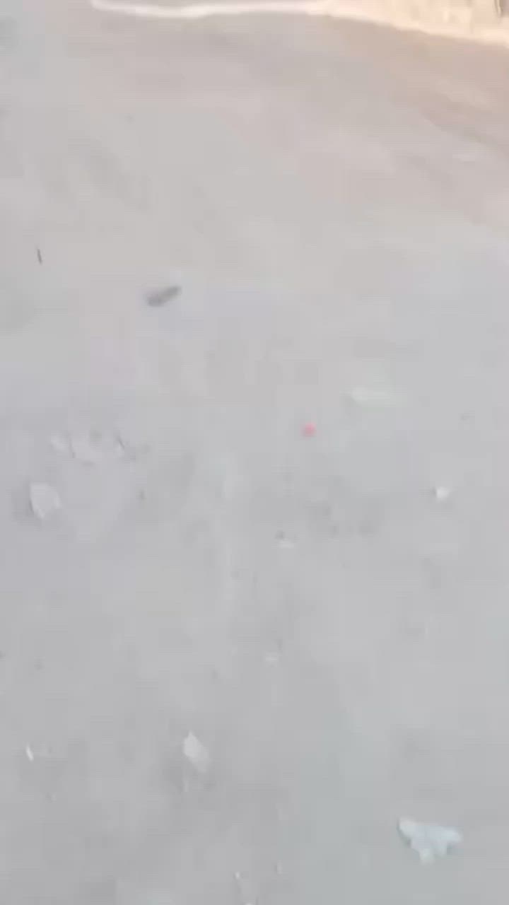 بيت زراعي مساحه 100 متر
يحتوي على غرفه وصاله ومطبخ وستقبال وصحيات

#العنوان طريق ياحسين نزلت مول الكوخ قرب مخبز أهلنه

#السعر 35 مليون

للاستفسار الاتصال على الرقم

***********

