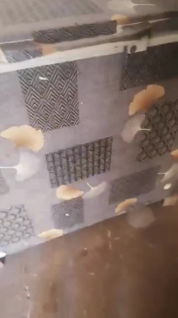 سلام عليكم  براد مي ومجمده لبيع شغاله  وبسعر مناسب  وليحب يتصل علا هاذهالرقم ***********
