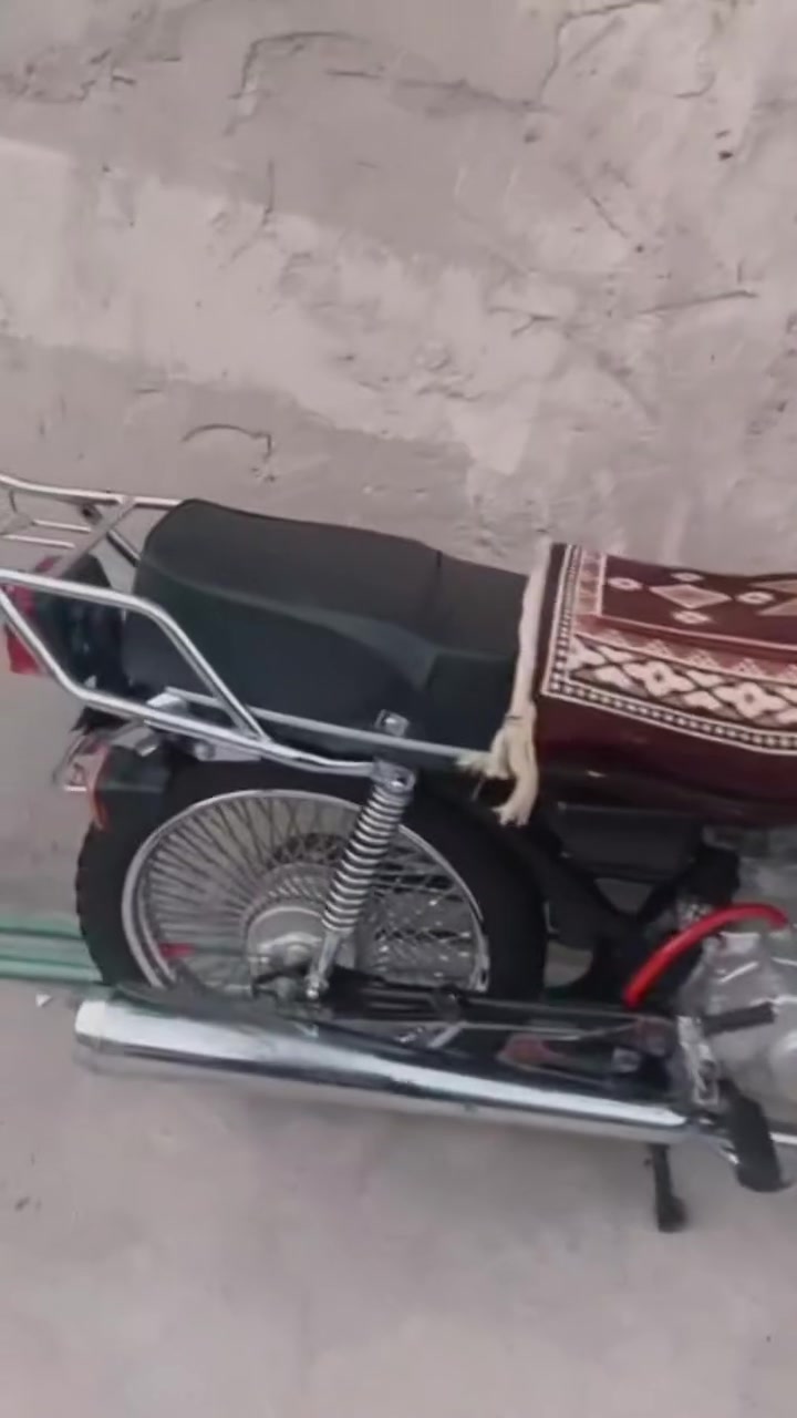 سلام عليكم  دراجا تايكر مديل 20 البيع  ادراجا خير من الله  سعره 350وبيها مجال الطيبين  الستفسار ***********
مكاني نجف حي ميسان
