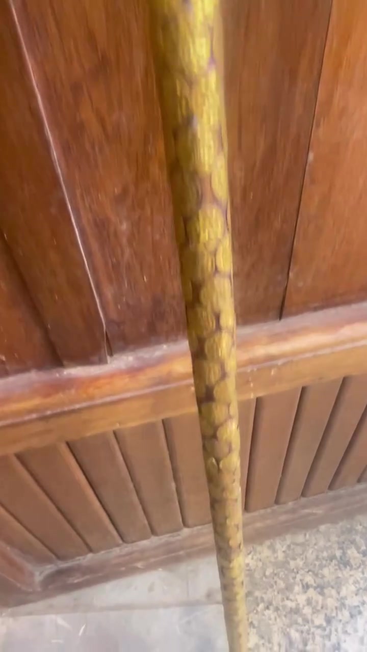 السلام عليكم الفن العكازات الاصليه والماركه ويوجدعكازات حسب طلب الزبون وبأسعار مناسبه جدآ والسعر حسب الطلب
العنوان ناصريه الحبوبي قرب مجمع البطحاوب الفن في العكازات الاستفسار ***********

