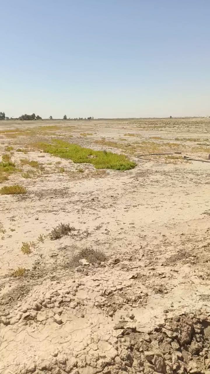للبيع
ارض زراعي سند٢٥
تحويل بأسم المشتري 
المساحه دونمين( ٢)دونم
الموقع قرب بستان ابودريس مجاور بستان عمار السعداوي 
وجه للشط الصب 
للاستفسار
***********
***********واتس
او مراجعه المكتب مكتب احمد النبهاني / عبدالله
