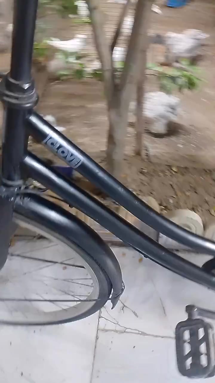 باسكل كلوف موديل 2019
باسكل مرتب ونضيف من الاخير قفله 100 ربع ما ينزل 
  
الشطره شارع جليل فضيل  
***********
