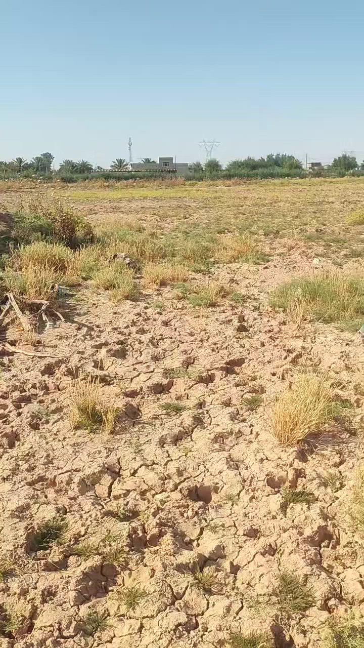 دونمين للبيع كافه الخدمات موجوده 
مدارس حكومية كهرباء وسحب ما سقي وماء حلو 
تريد دونم تريد دونمين حسب الطلب 
العنوان تقاطع النهروان قريه ٨
للاستفسار ***********
